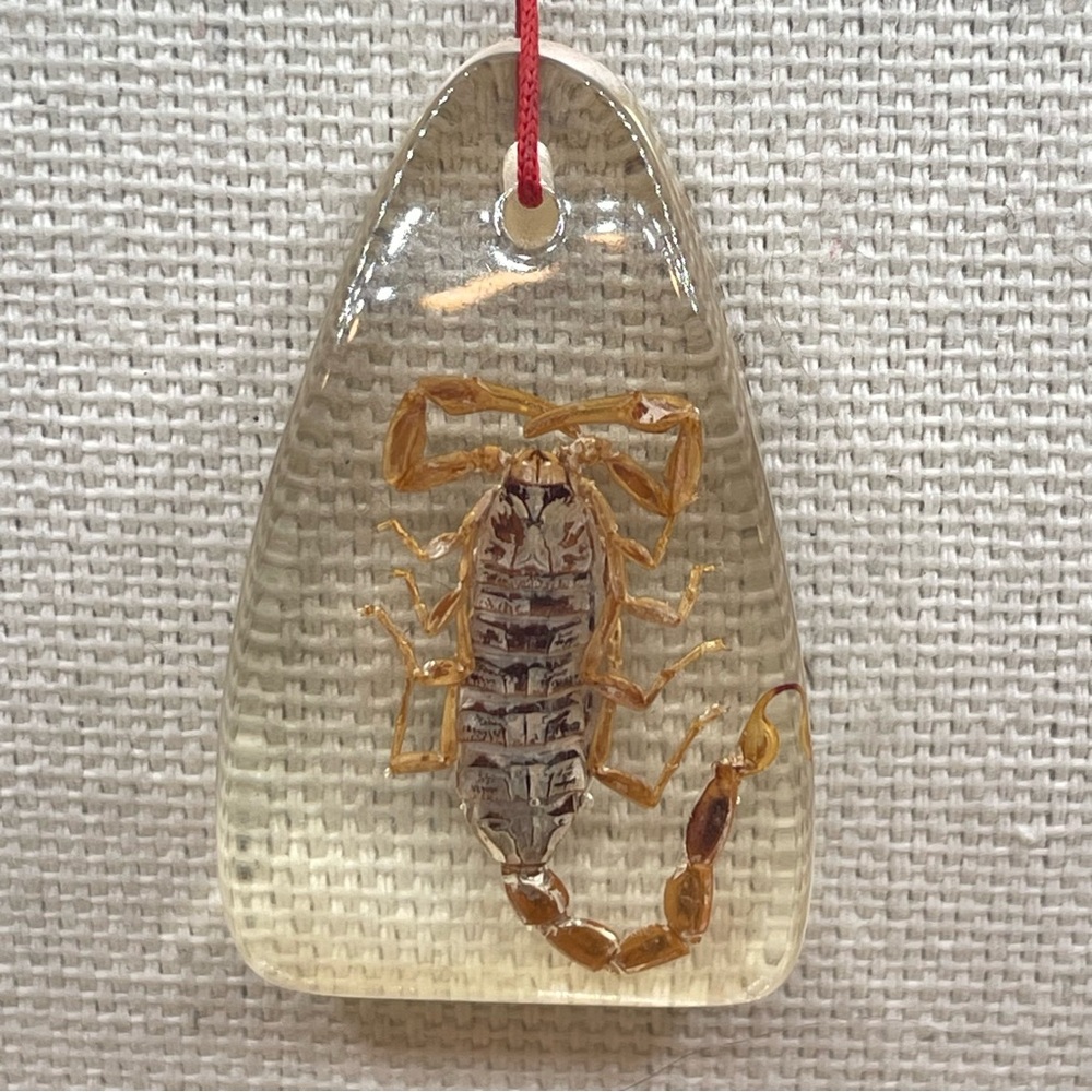 Unique Unsigned Resin Scorpio Insect Red Cord Pendant Necklace - Picture 3 of 4